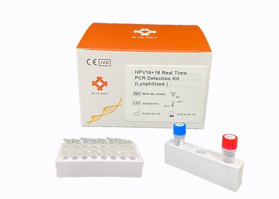 Assay зонда Taqman вируса Dectect рискованный Genotyping HPV набора в реальном времени PCR HPV