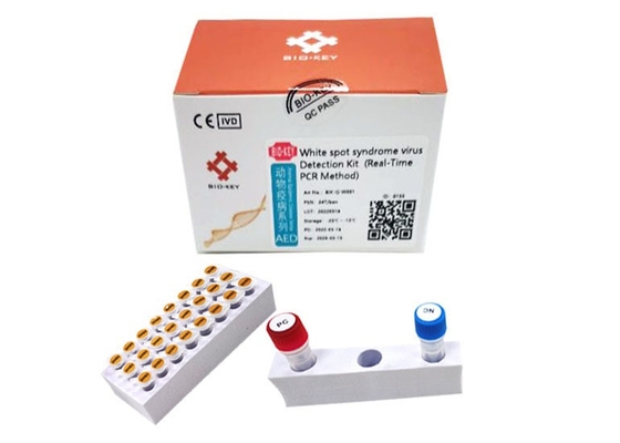 Вирус синдрома белых пятен с креветками ваннамей WSSV Rapid Test Kit Prawn Baculovirus PCR Kit