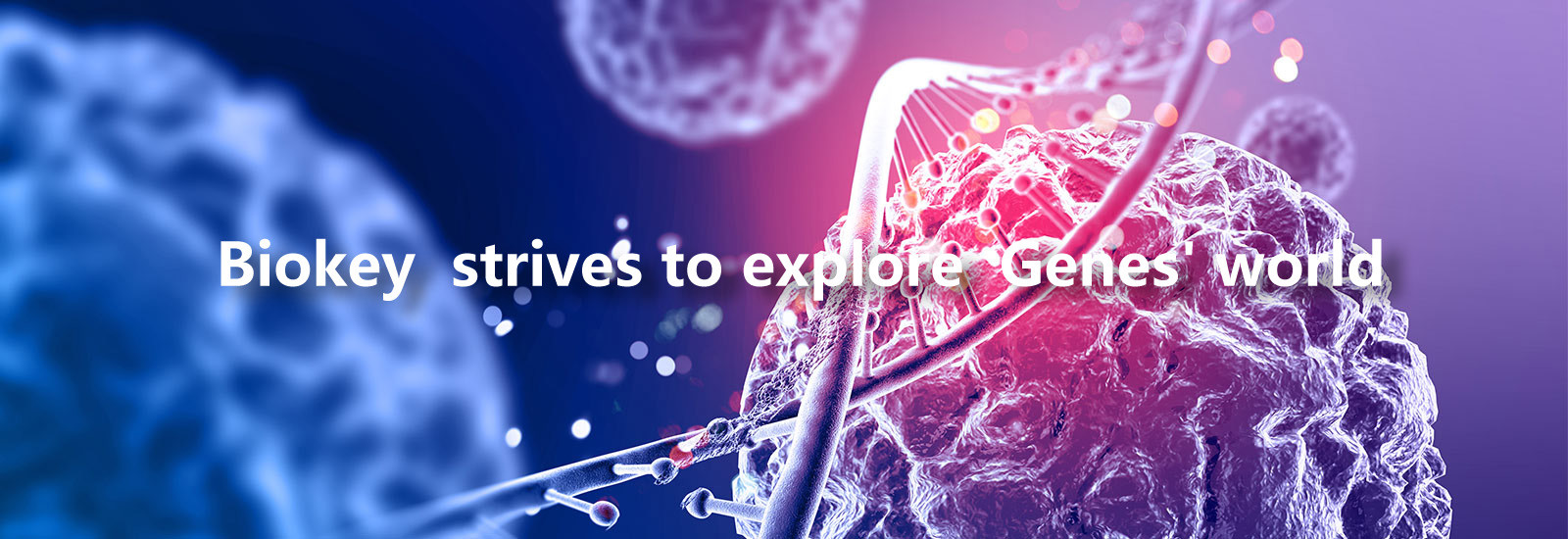 качество Машина qPCR RT фабрика