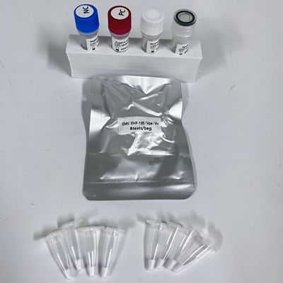 Комплект ПЦР в режиме реального времени для обнаружения тканей креветок Vpa Vibrio Parahaemolyticus